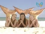mie mi se pare ca cornelia seamana cu emma din h2o !  :rotfl:  :rotfl:  :rotfl: cornelia